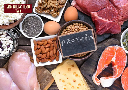 Protein - Dưỡng chất thiết yếu bồi bổ cơ thể