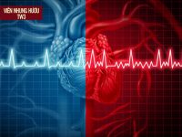 So sánh nhịp tim bình thường và tim đập nhanh