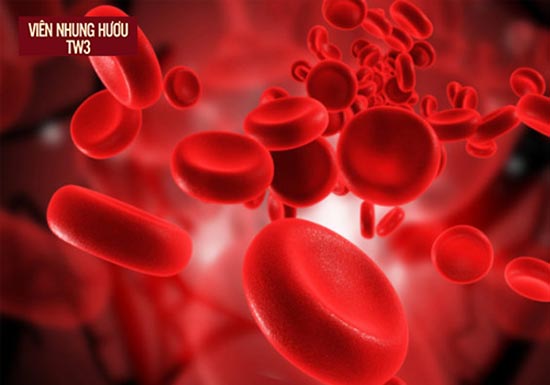 Thiếu máu là tình trạng cơ thể thiếu các tế bào hồng cầu