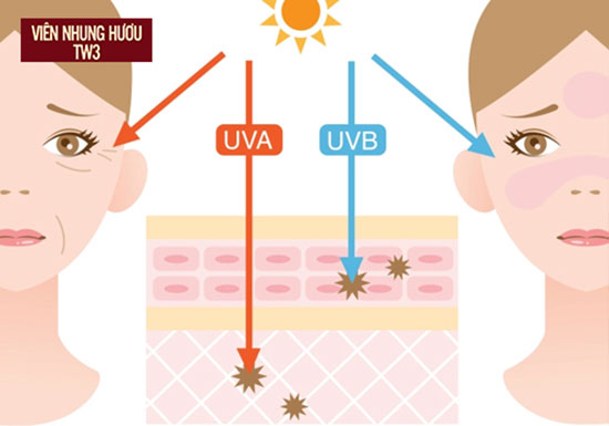 Tia UV là một trong những nguyên nhân khiến da lão hóa sớm