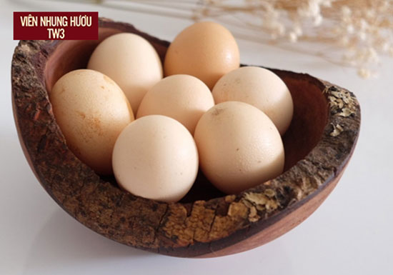 Trứng gà có thể dùng trong bài thuốc tăng cường sinh lực cho phái mạnh