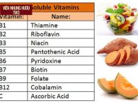 9 + loại vitamin cho người suy nhược cơ thể