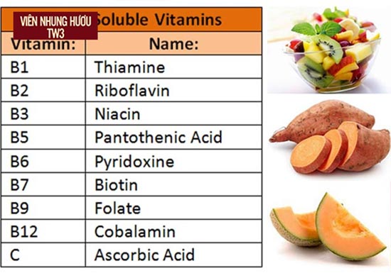 Vitamin B là một trong những loại vitamin cho người suy nhược cơ thể