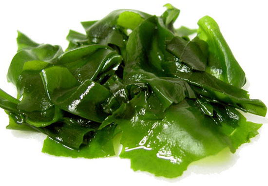 Người mới ốm dậy ăn tảo bẹ giúp hấp thu các chất dinh dưỡng tốt hơn nhanh hồi phục sức khỏe