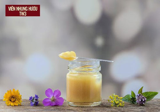 Sữa ong chúa được ví như thực phẩm hoàn hảo giúp bồi bổ sức khỏe, tốt cho người gầy yếu